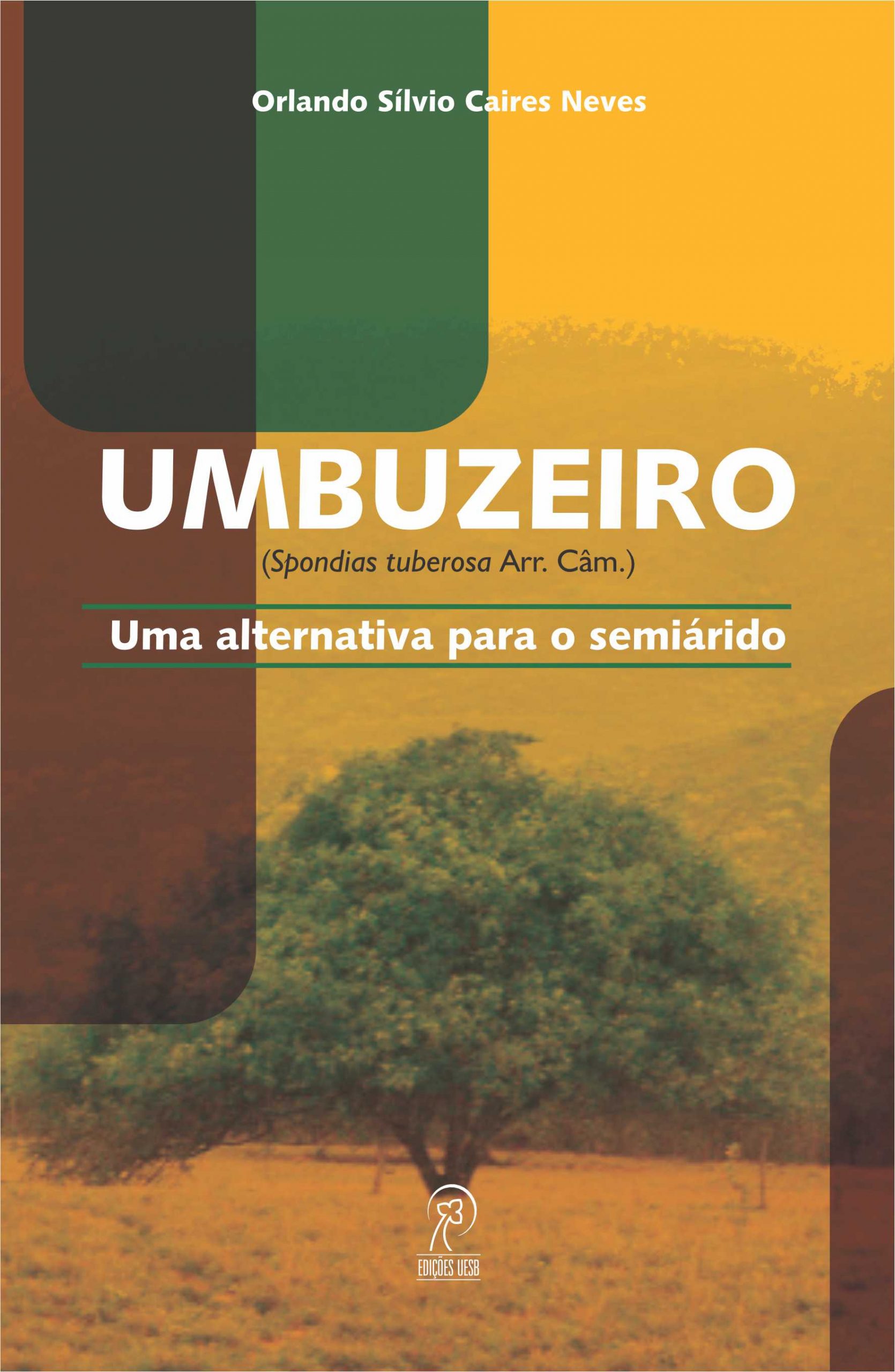 Umbuzeiro (Spondias tuberosa Arr. Câm.): uma alternativa para o semiárido