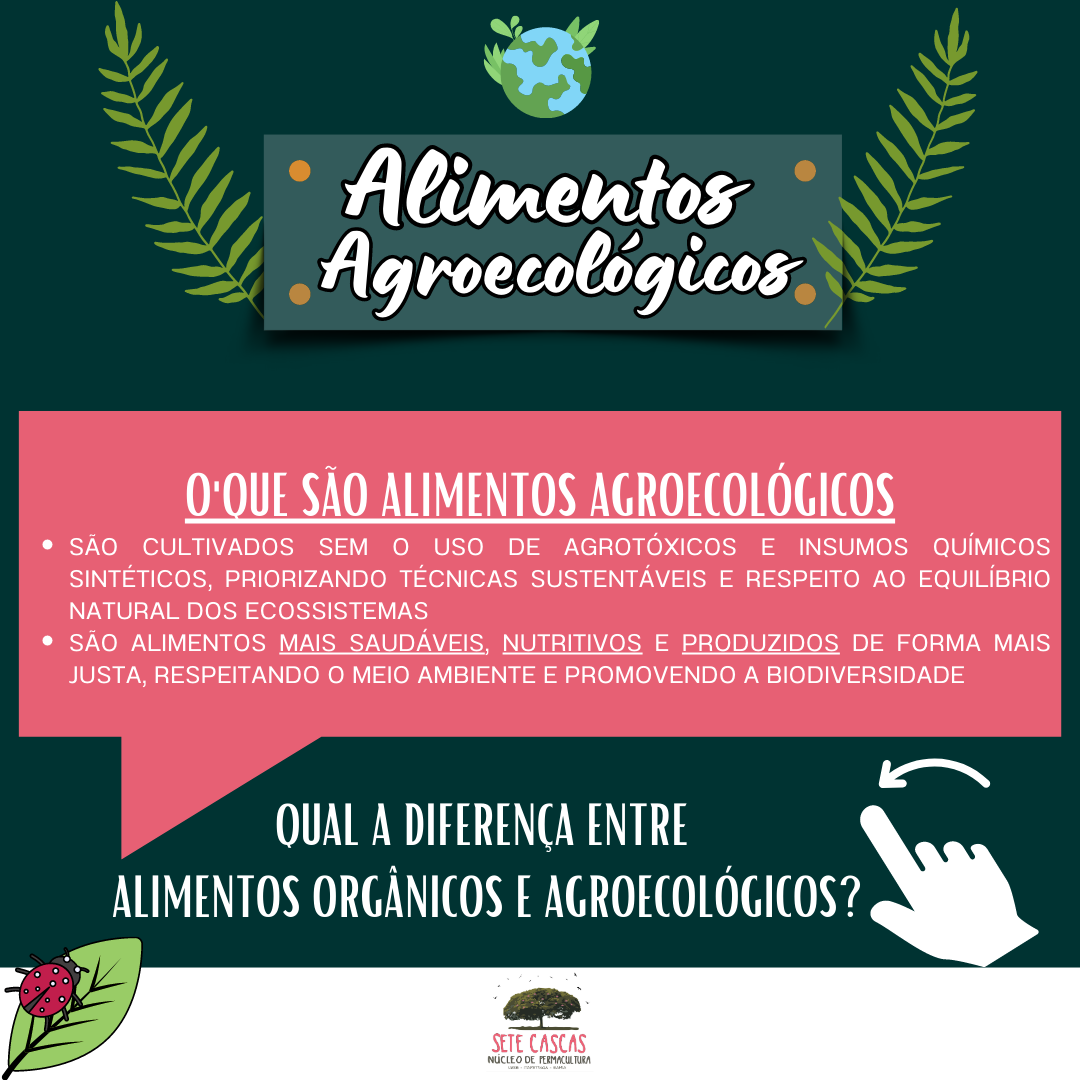 Alimentos Agroecológicos